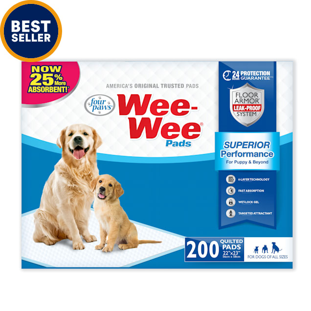 how to train your puppy to pee on a pad