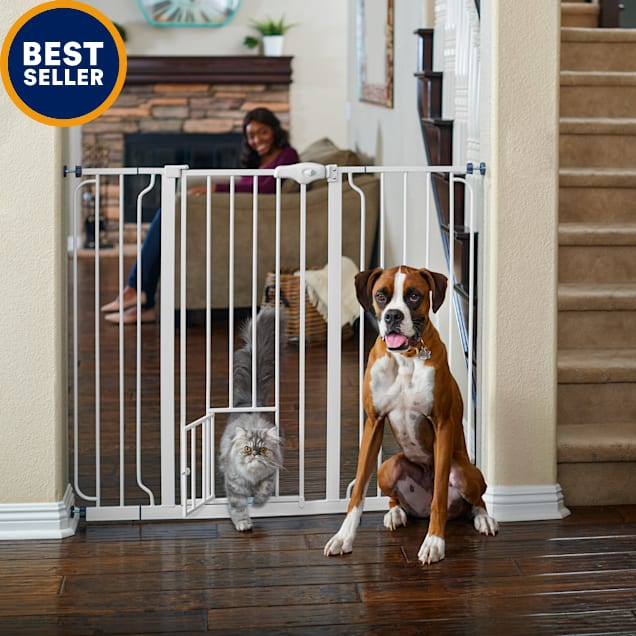 a dog gate