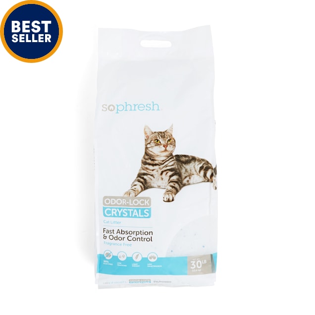 best cat litter to prevent odor