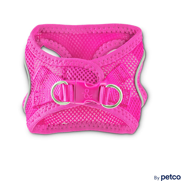 Bond & discount co dog harness
