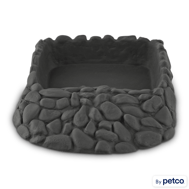 Imagitarium Reptile Ramp Bowl, 13" L X 9" W X 2.5" H - Carousel image #1