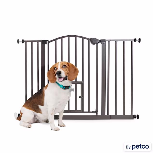 EveryYay In The Zone Arched Metal Walk-Through Pet Gate, 29-43.5" W X 30" H - Carousel image #1