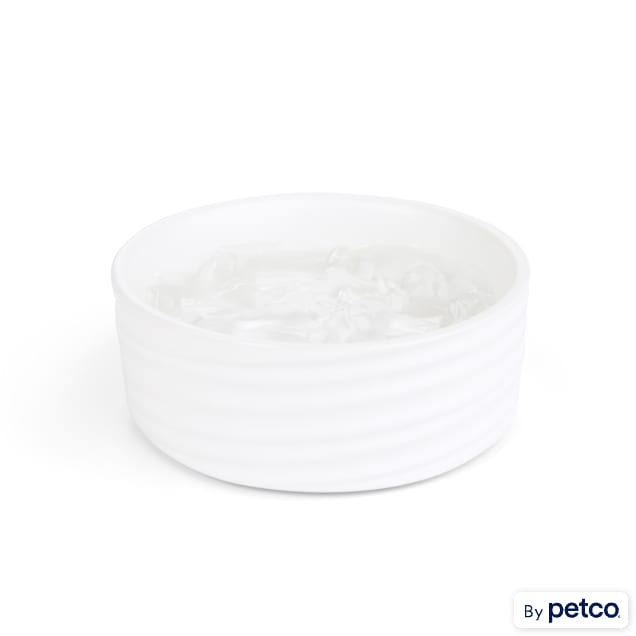 EveryYay Dining In Ivory Ceramic Wave Dog Bowl, 1.2 Cups | Petco
