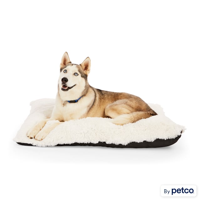 EveryYay Essentials Snooze Fest Lavender-Scented Lounger Dog Bed, 40" L X 30" W X 5" H - Carousel image #1