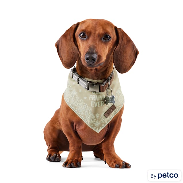 Reddy BFF Dog Bandana, Small/Medium, Green - Carousel image #1