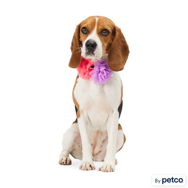 YOULY Flower Collar Accessory for Dogs, Pack of 2 - Carousel image #1
