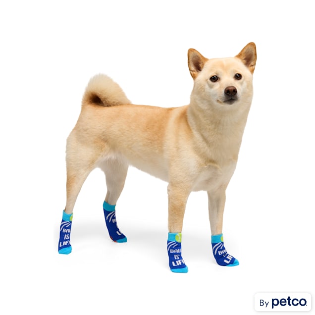 YOULY Ball Is Life Dog Socks, X-Small/Small - Carousel image #1