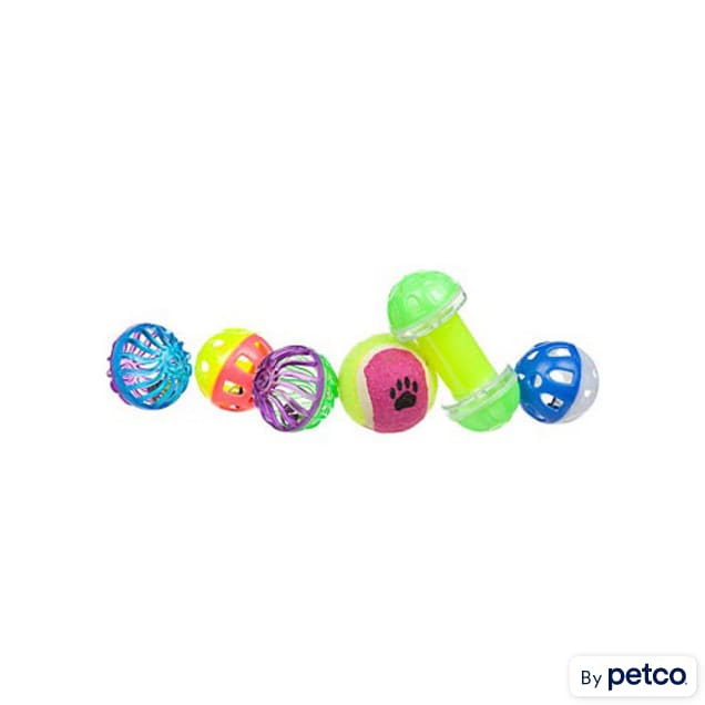 Ferret toys petco sales