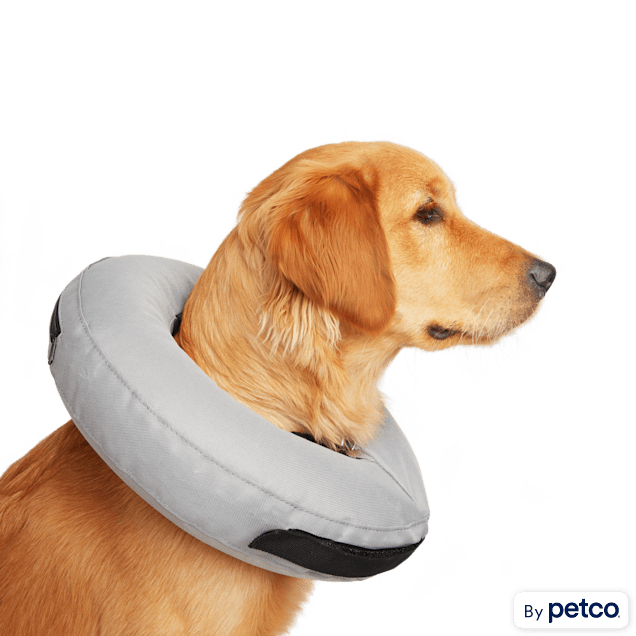 Petco seresto collar large dog online