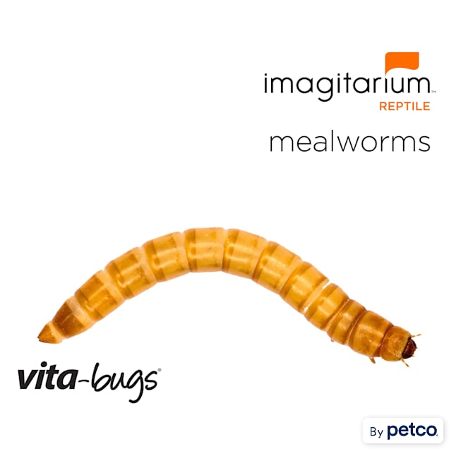 Vita-Bugs Medium Mealworms, Count of 5000 - Carousel image #1