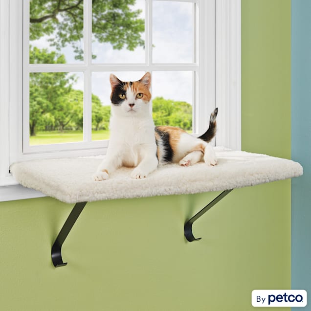 EveryYay Higher Ground Memory Foam Cat Perch