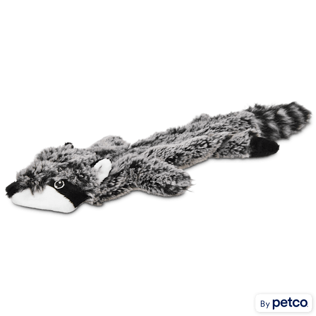 Leaps & Bounds Small Wildlife Unstuffed Raccoon Toy | Petco