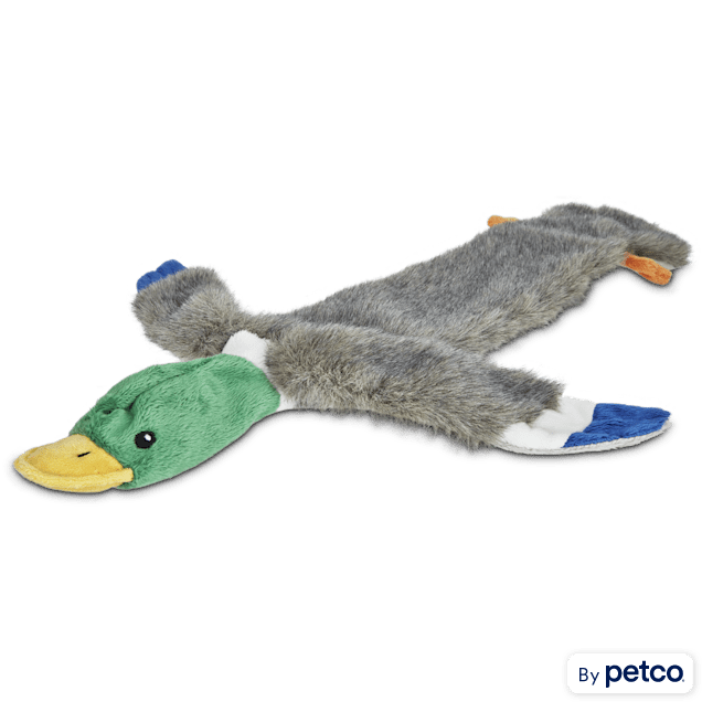 Leaps & Bounds Wildlife Fish Plush Dog Toy, Large