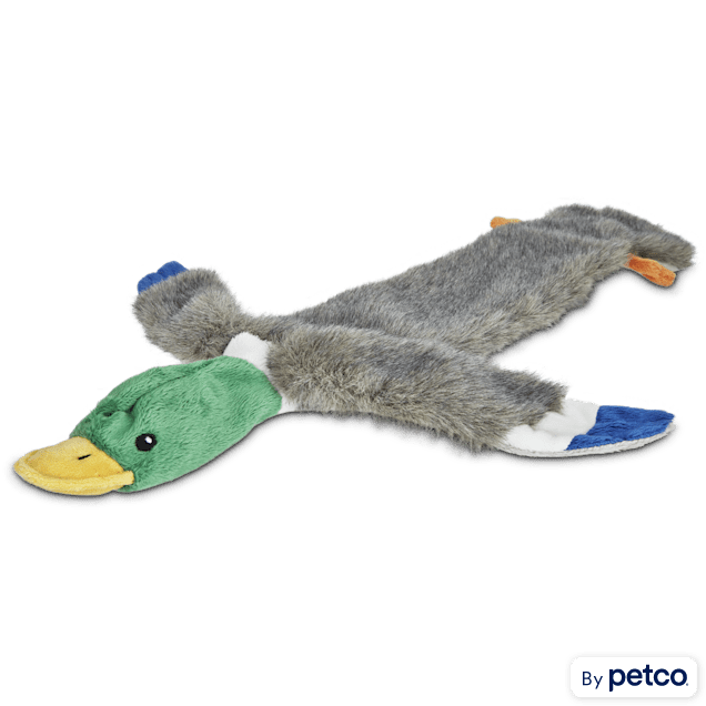 Indestructible duck dog clearance toy