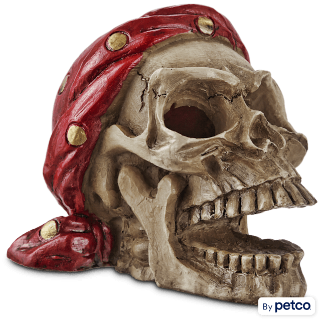 Imagitarium Pirate Skull with Bandana Aquatic Decor - Carousel image #1