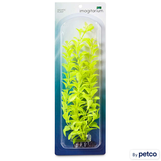 Imagitarium Light Green Background Aquarium Plant - Carousel image #1