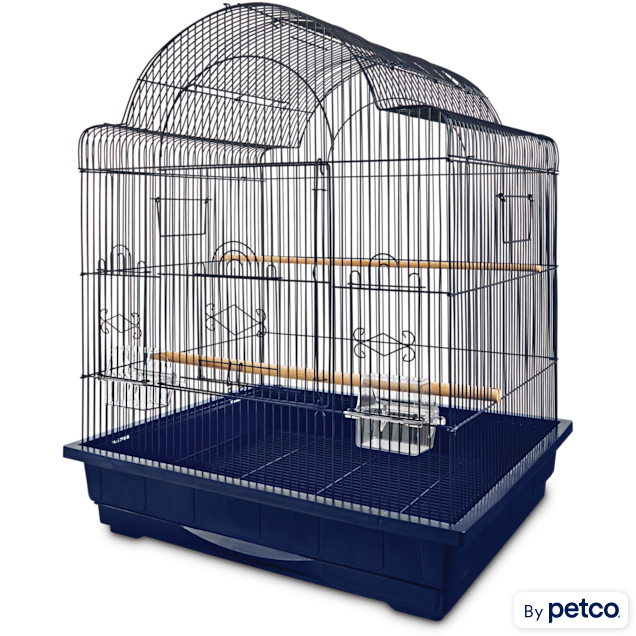 Parrot with deals cage for sale