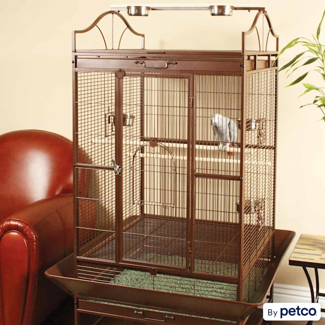 Dog training clearance bird cage