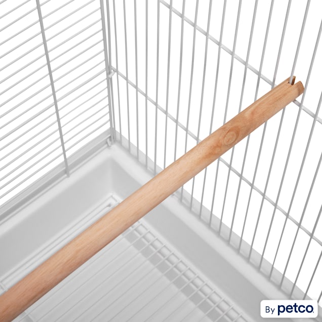 Parakeet clearance cage petco