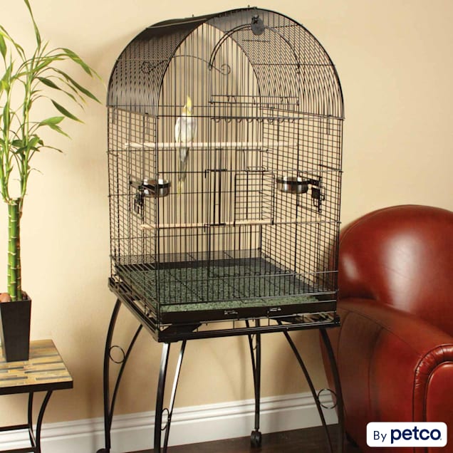 Standing　Cage　Cockatiel　Petco　You　Me