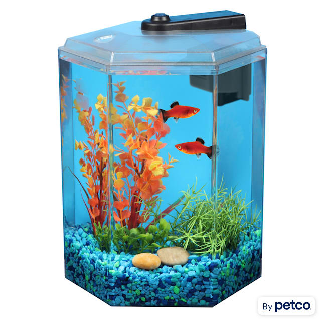 Imagitarium 1.7 Gal Betta Aquarium with LED Lights & Acrylic