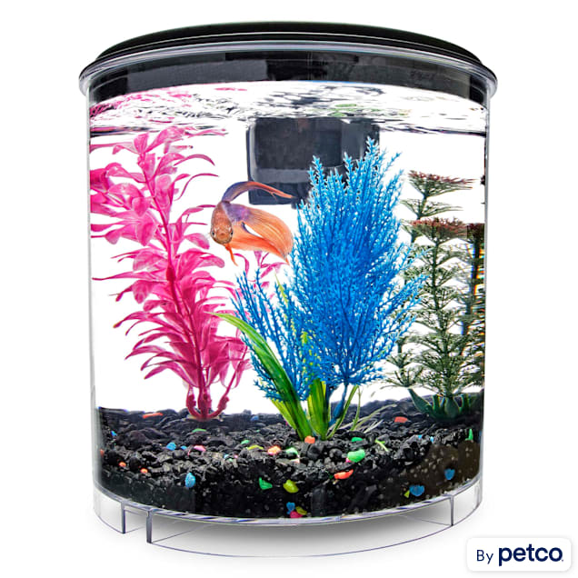 PetSmart - Now's the time to get that aquarium you've always wanted! Shop  PetSmart today and get an aquarium for $1 per gallon! 10 gallon tanks are  $10. 20 gallons? $20. Don't