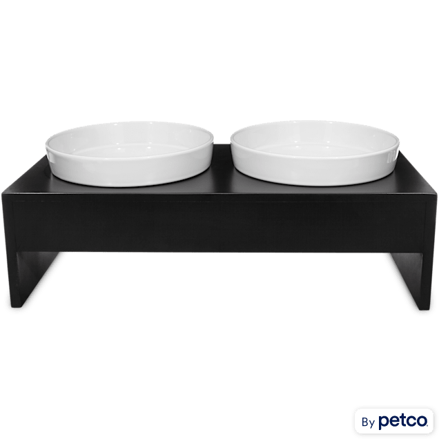 Harmony elevated dog bowl shop double diner