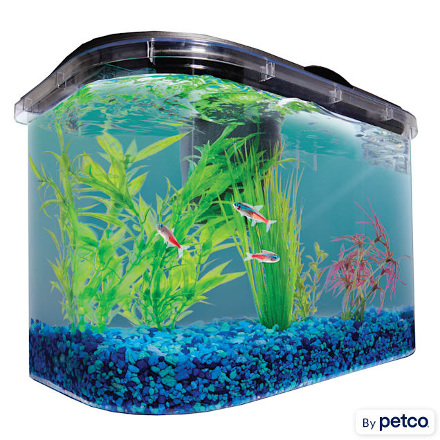 Fish Supplies: Fish Tanks, Aquariums, Bowls, Food & More