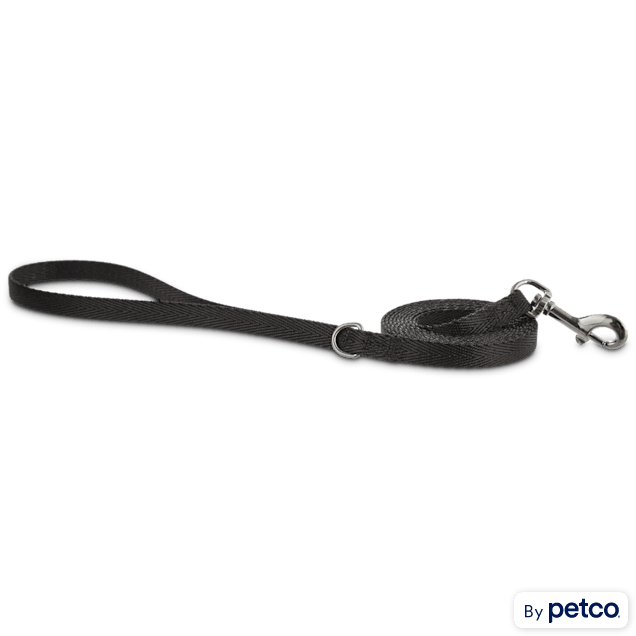Slip lead hot sale petco