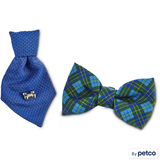 Bond & Co. Blue Bowtie Set for Small Dogs, Small - Carousel image #1