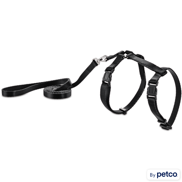 Chewy V Harness & Leash Set