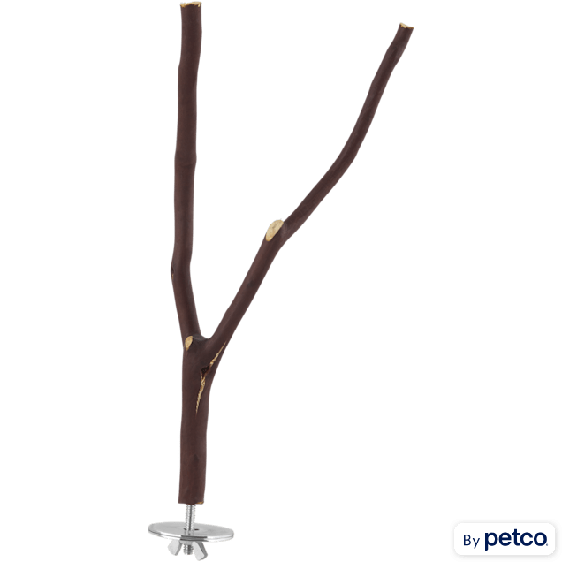You & Me Bird Manzanita Wood Multi-Branch Bird Perch, Medium - Carousel image #1