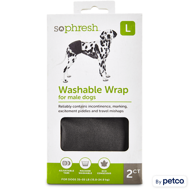 Dog belly band petco deals