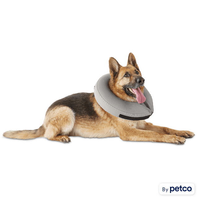 Well & Good Inflatable Collar for Dogs and Cats, Large/ X-Large - Carousel image #1