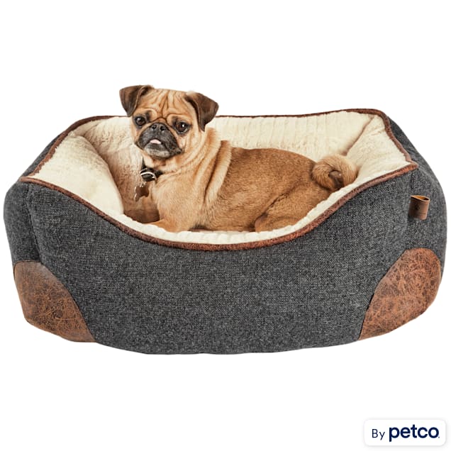 Petco dog blankets hot sale