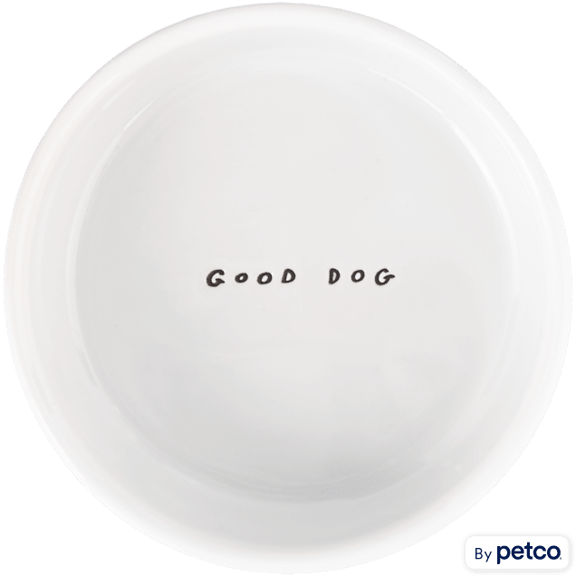 Harmony Good Dog Ceramic Bowl for Small Dogs 1 Cup