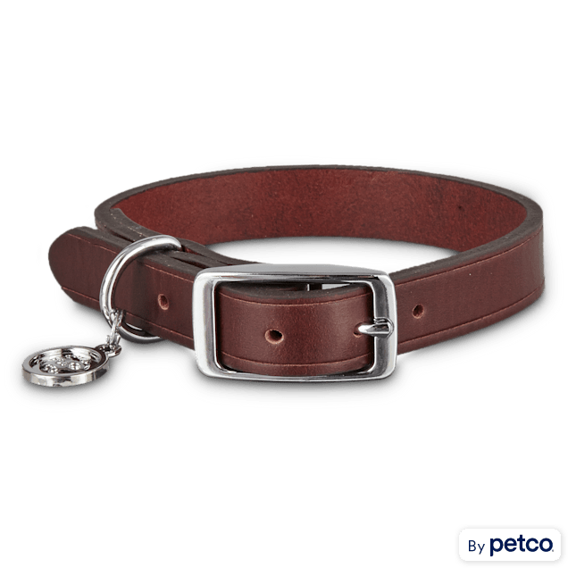 Leather Harness – Leather Bond