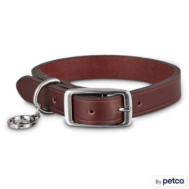 Bond & co kitten collar shop