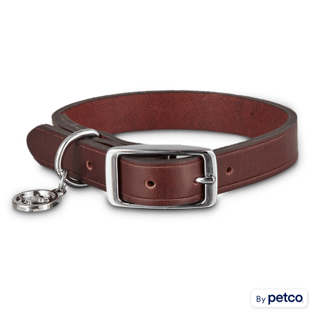 Bond and co cheap leather collar