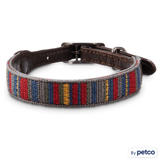 Bond & Co. Multi-Stripe Dog Collar, For Neck Sizes 12-15, Small - Carousel image #1