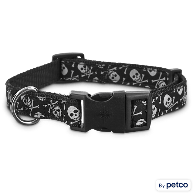 Bark collar petco new arrivals