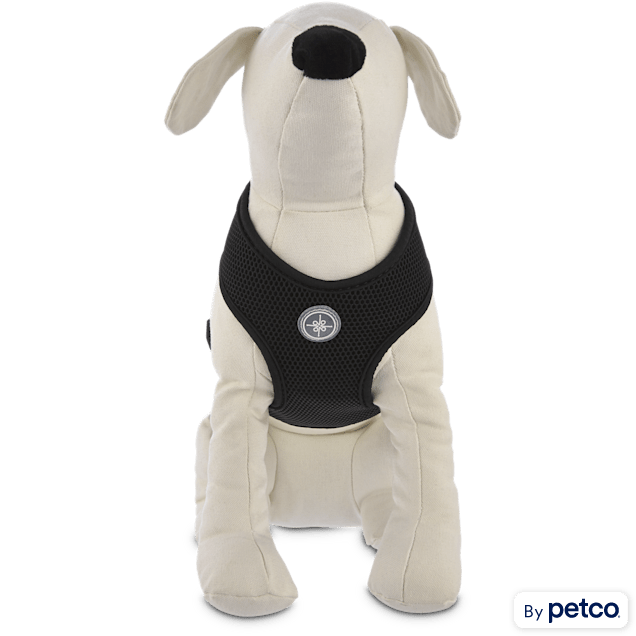Good2Go Medium Black Mesh Dog Harness with Adjustable Straps