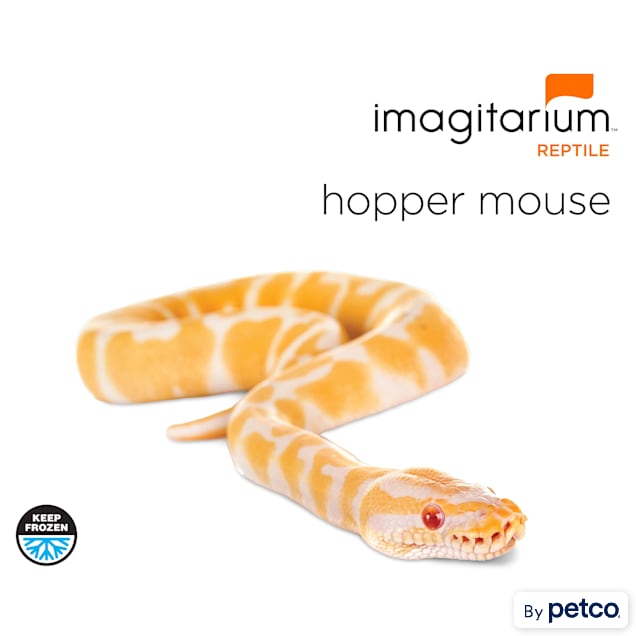 Frozen Hopper Mouse, Count of 10 - Carousel image #1