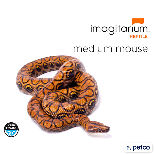 Frozen Medium Mouse, Count of 10 - Carousel image #1