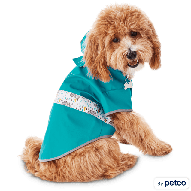 Petco dog jacket store