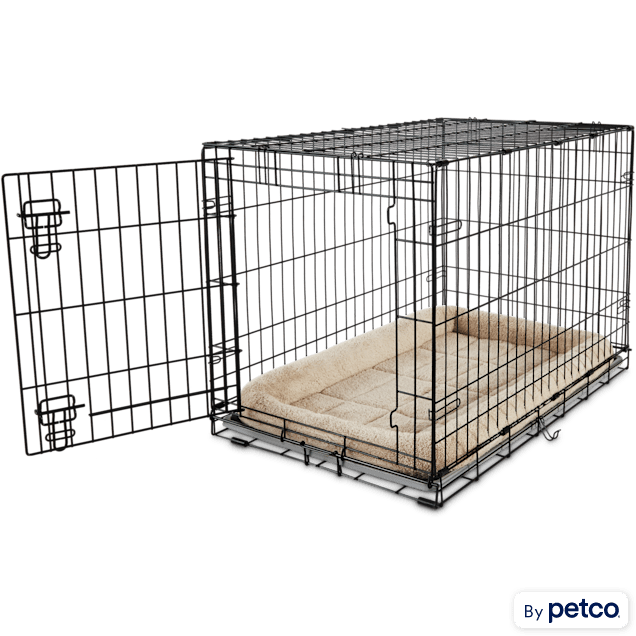 EveryYay Going Places 1-Door Folding Dog Crate, 36
