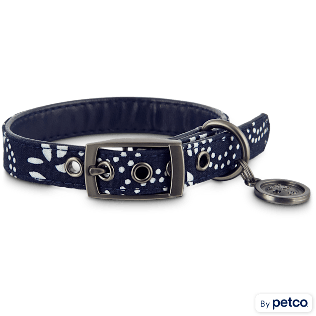 Bond and company dog collars hot sale