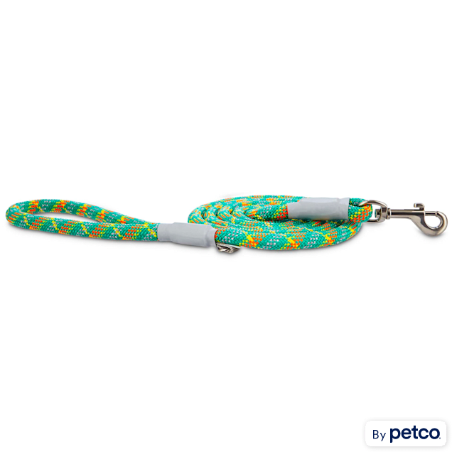 Good2Go Reflective Braided Rope Leash in Turquoise, 6 ft. - Carousel image #1