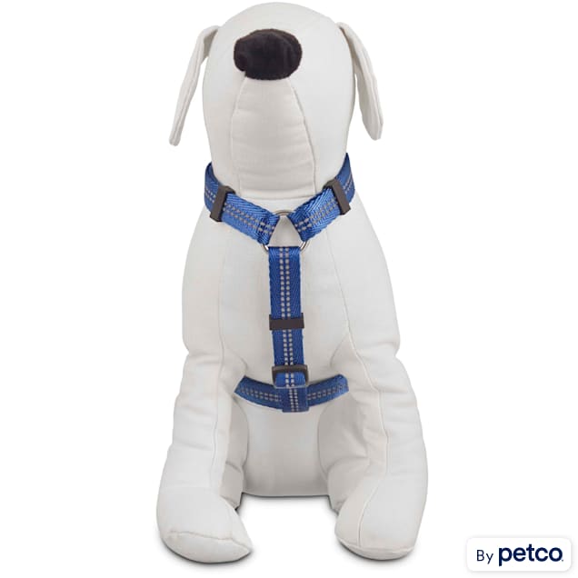 Lucky Dragon - Dog Adjustable Harness