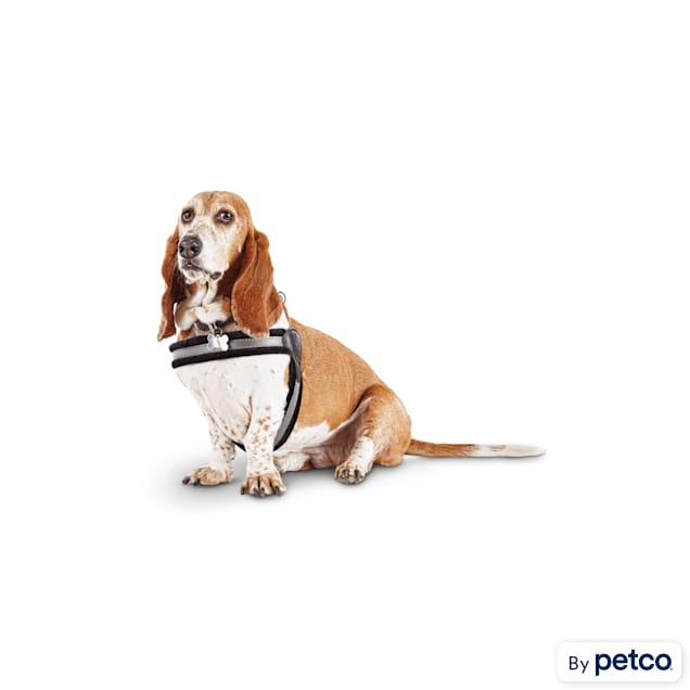 Good2Go Quick Fit Comfort Harness for Medium Large Dogs